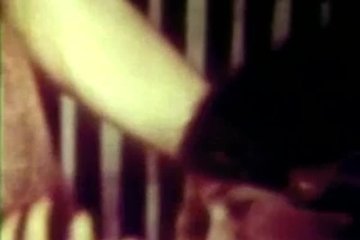 Факеры сладко трахают в ротик своих милых подружек