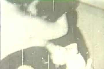 Кому-то и оральничать достаточно