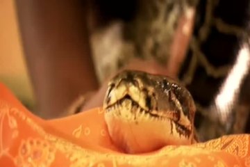 Демонстрирует прелести тантрического секса