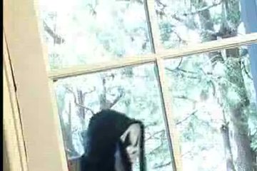 Закрались в домик даже без масок