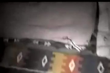 Анус манит самца своей чернотой