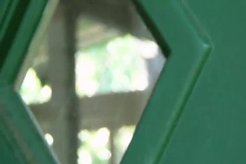 Самки аппетитно насасывали по-очереди