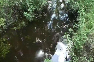 Первые встречные девушки в парке оказались лесбиянками