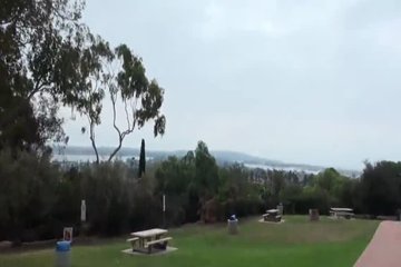 Соснула в лесопосадке за денежки