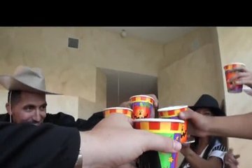 Эффективно доводят тёлочек до кондиции