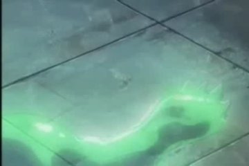 Неизвестная страсть и похоть