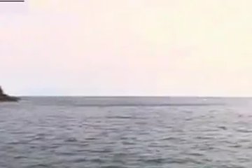 Чего только в отпуске не делали