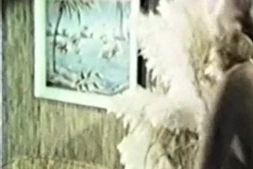 Нежно прикусила хуй до важной порки