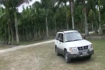 Был минет и даже сиськами крутили